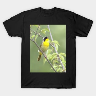 Common Yellowthroat bird with soft green out of focus background T-Shirt